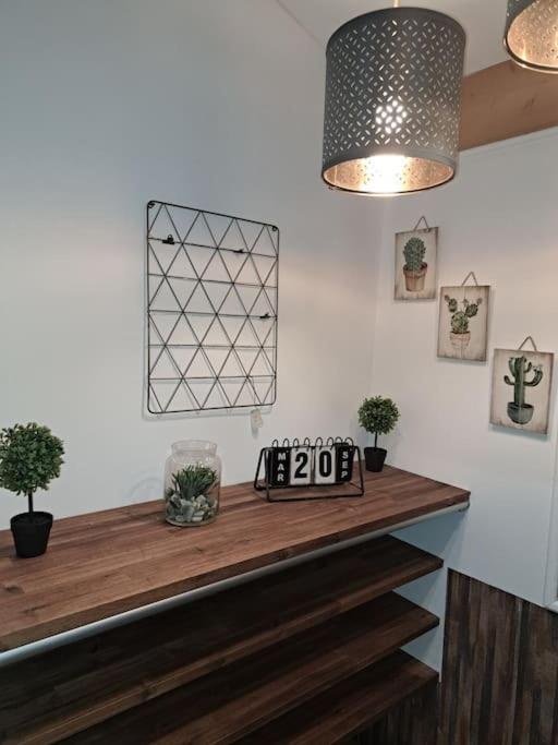 Studio Dans Maison Avec Jardin Et Balcon, Au Calme Sérézin-du-Rhône Exterior foto